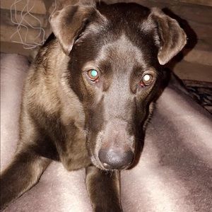 Meet your Posher, Irene